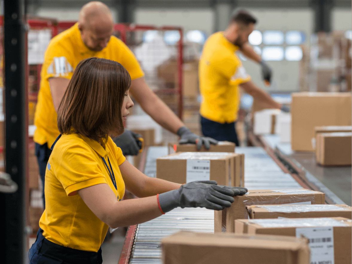 Cheap All-In-One Ecommerce Shipping Software CIBERHAWK™